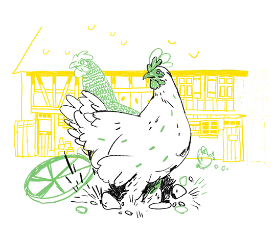 Illustration von zwei Hühnern.