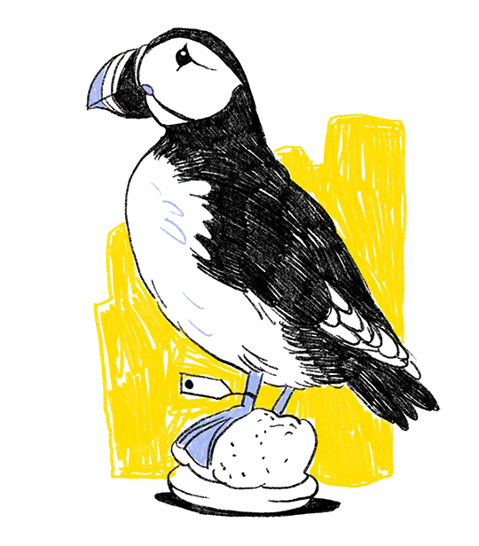 Die Illustration zeigt einen Papageitaucher, der auf einem kleinen einer Basis steht.