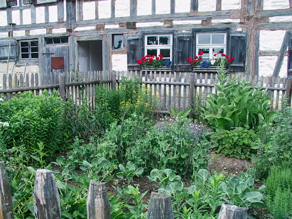 Bauerngarten vor einem Fachwerkhaus. Vor den Fenstern des Hauses befinden sich bepflanzte Blumenkästen.