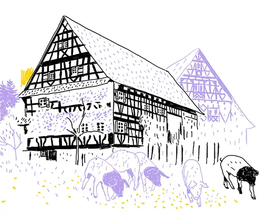Zeichnung eines Fachwerkhauses, vor dem Schweine stehen.