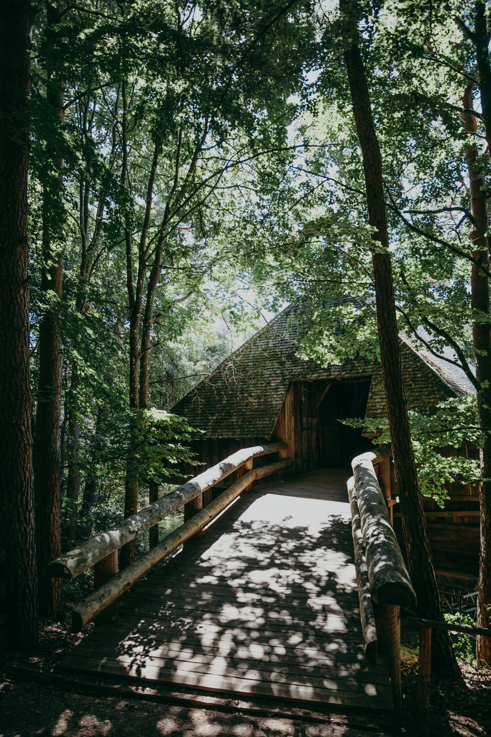 Foto: Holzbrücke mit Geländer führt durch einen schattigen Wald zu einem Gebäude mit steilem, hohen Dach. Sonnenlicht fällt durch die Baumkronen auf den Weg.