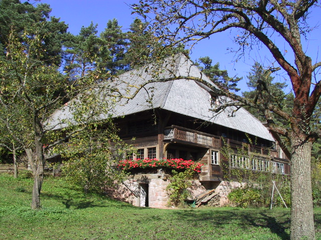 Foto: Großes Haus steht auf einer Wiese, umgeben von Bäumen. Die Fassade ist aus dunklem Holz, mit Balkon und leuchtend roten Blumen unter den Fenstern.