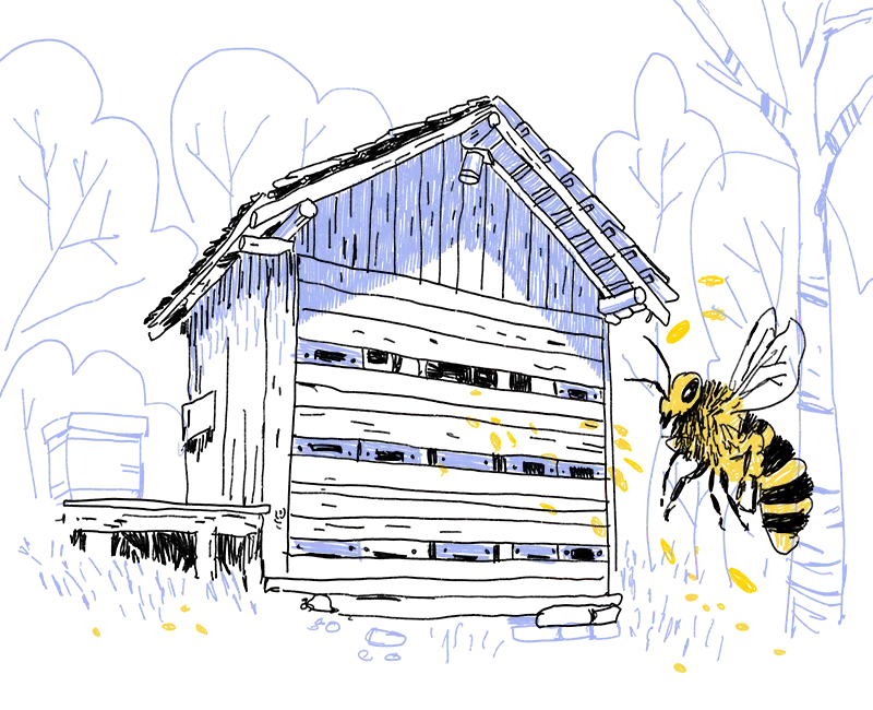 Illustration: Bienenhaus mit fliegender Biene im Vordergrund.