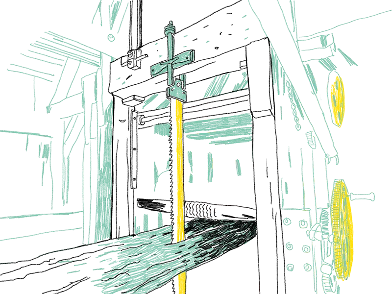 Illustration von einem dicken Baumstamm, der wagerecht in eine Maschine hineinfährt. In der Mitte des Stammes steckt eine Säge, die am oberen Rand der Maschine befestigt ist.