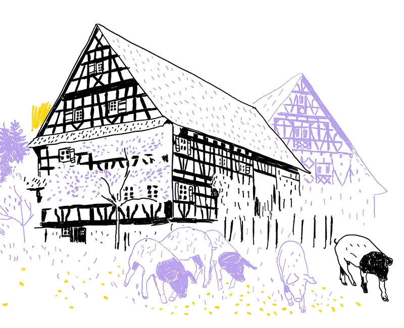Zeichnung eines Fachwerkhauses, vor dem Schweine stehen.