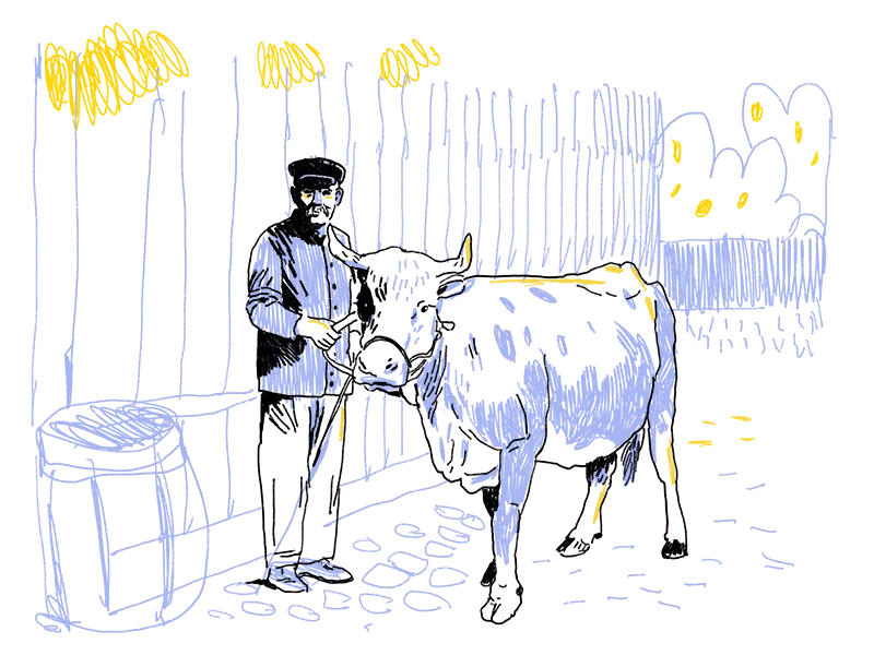 Illustration eines Mannes mit Hemd und weiter Hose und einer Mütze mit Sonnenschutz vorne, der neben einer Kuh steht, die er am Halfter festhält. Er steht vor einer Holzfassade und neben einem Holzfass.